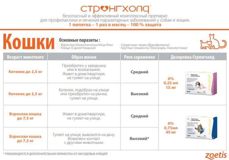 Дозировка препарата Стронгхолд для кошек