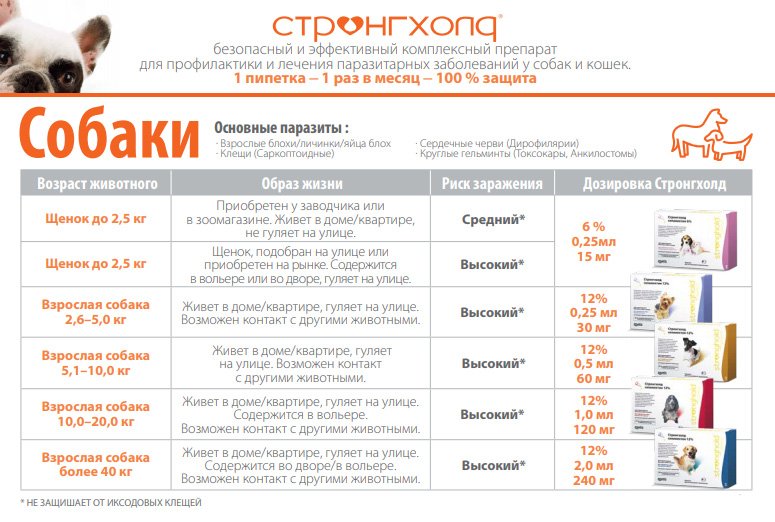 Дозировка капель Стронгхолд для собак