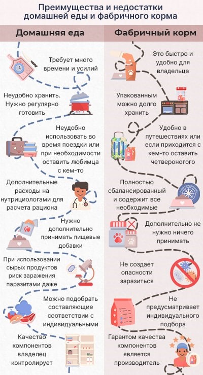 Преимущества и недостатки домашней еды и фабричного корма